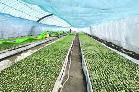 �ؖ|����M���P�I���o�� 4����Ѯ�ɓ����r������