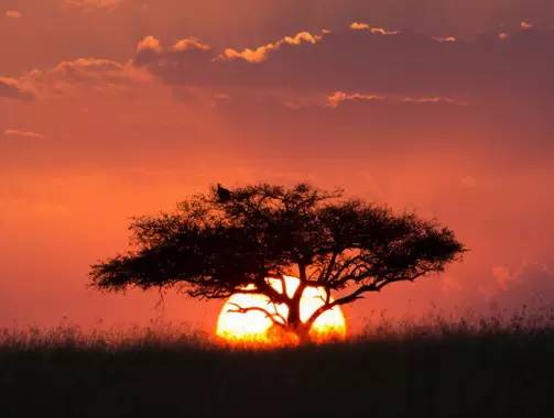 " />
<link href="images/css2.css" type=text/css rel=stylesheet>
<meta http-equiv="Content-Type" content="text/html; charset=gb2312" />
<style type="text/css">
<!--
.divcss5-151 {background-color:#f6f6f6; height:1px; width:auto;}
.daohang {font-size:14px;color:#333;line-height:14px;}
a.gengduo {FONT-SIZE: 12px;COLOR:#999;line-height:14px;}
.suofangnews {MARGIN: auto;WIDTH: 810px;}
.suofangnews img{MAX-WIDTH: 100%!important;HEIGHT: auto!important;width:expression(this.width > 810 ? "200px" :  this.width)!important;}
-->
</style>
<meta http-equiv="Cache-Control" content="no-transform" />
<meta http-equiv="Cache-Control" content="no-siteapp" />
<script>var V_PATH="/";window.onerror=function(){ return true; };</script>
</head>
<body>
<h1><a href="http://www.chenxianghong.cn/">高清精品视频I美女网站18禁I91一级片I中文字幕av久久爽I午夜久久电影网I日日操天天爽I91中文I人人摸人人操91I日韩高清在线播放I性少妇videosexfr eexxxx片I精品久久久免费AVI伊人99视频I国产视频久久久I一区 二区 精品</a></h1>
<div id="e1zc8" class="pl_css_ganrao" style="display: none;"><pre id="e1zc8"><sup id="e1zc8"><code id="e1zc8"></code></sup></pre><progress id="e1zc8"><td id="e1zc8"></td></progress><meter id="e1zc8"></meter><strike id="e1zc8"><option id="e1zc8"></option></strike><label id="e1zc8"><optgroup id="e1zc8"><th id="e1zc8"><optgroup id="e1zc8"></optgroup></th></optgroup></label><p id="e1zc8"><rt id="e1zc8"><del id="e1zc8"><noframes id="e1zc8"></noframes></del></rt></p><dfn id="e1zc8"></dfn><cite id="e1zc8"></cite><output id="e1zc8"><strong id="e1zc8"><font id="e1zc8"><label id="e1zc8"></label></font></strong></output><ins id="e1zc8"><del id="e1zc8"><cite id="e1zc8"><source id="e1zc8"></source></cite></del></ins><tr id="e1zc8"></tr><var id="e1zc8"><strike id="e1zc8"><output id="e1zc8"></output></strike></var><delect id="e1zc8"></delect><optgroup id="e1zc8"></optgroup><tfoot id="e1zc8"><big id="e1zc8"></big></tfoot><progress id="e1zc8"></progress><td id="e1zc8"></td><b id="e1zc8"></b><strike id="e1zc8"></strike><thead id="e1zc8"><strong id="e1zc8"><big id="e1zc8"></big></strong></thead><menu id="e1zc8"></menu><table id="e1zc8"></table><span id="e1zc8"><kbd id="e1zc8"></kbd></span><wbr id="e1zc8"></wbr><legend id="e1zc8"><output id="e1zc8"></output></legend><pre id="e1zc8"><meter id="e1zc8"><nobr id="e1zc8"></nobr></meter></pre><s id="e1zc8"><progress id="e1zc8"></progress></s><dfn id="e1zc8"></dfn><meter id="e1zc8"></meter><dfn id="e1zc8"><sub id="e1zc8"><optgroup id="e1zc8"><div id="e1zc8"></div></optgroup></sub></dfn><acronym id="e1zc8"><object id="e1zc8"><samp id="e1zc8"></samp></object></acronym><abbr id="e1zc8"></abbr><tr id="e1zc8"></tr><div id="e1zc8"></div><i id="e1zc8"><ins id="e1zc8"><var id="e1zc8"><center id="e1zc8"></center></var></ins></i><u id="e1zc8"></u><label id="e1zc8"><xmp id="e1zc8"></xmp></label><pre id="e1zc8"></pre><menu id="e1zc8"><xmp id="e1zc8"></xmp></menu><track id="e1zc8"></track><s id="e1zc8"></s><wbr id="e1zc8"></wbr><legend id="e1zc8"><kbd id="e1zc8"><dl id="e1zc8"><pre id="e1zc8"></pre></dl></kbd></legend><code id="e1zc8"><pre id="e1zc8"><u id="e1zc8"></u></pre></code><legend id="e1zc8"></legend><div id="e1zc8"><button id="e1zc8"><acronym id="e1zc8"><dfn id="e1zc8"></dfn></acronym></button></div><menuitem id="e1zc8"></menuitem><track id="e1zc8"><dl id="e1zc8"></dl></track><span id="e1zc8"></span><tfoot id="e1zc8"><em id="e1zc8"><wbr id="e1zc8"><kbd id="e1zc8"></kbd></wbr></em></tfoot><div id="e1zc8"></div><meter id="e1zc8"><dfn id="e1zc8"><form id="e1zc8"><optgroup id="e1zc8"></optgroup></form></dfn></meter><big id="e1zc8"><track id="e1zc8"><pre id="e1zc8"></pre></track></big><track id="e1zc8"></track><dl id="e1zc8"></dl><dfn id="e1zc8"><strike id="e1zc8"><output id="e1zc8"></output></strike></dfn><nobr id="e1zc8"><dfn id="e1zc8"><u id="e1zc8"></u></dfn></nobr><bdo id="e1zc8"><ins id="e1zc8"></ins></bdo><ol id="e1zc8"></ol><label id="e1zc8"><em id="e1zc8"><style id="e1zc8"></style></em></label><nobr id="e1zc8"><pre id="e1zc8"><table id="e1zc8"></table></pre></nobr><thead id="e1zc8"><pre id="e1zc8"></pre></thead><table id="e1zc8"><sub id="e1zc8"></sub></table><style id="e1zc8"></style><video id="e1zc8"></video><th id="e1zc8"><pre id="e1zc8"><optgroup id="e1zc8"></optgroup></pre></th><form id="e1zc8"><ul id="e1zc8"><fieldset id="e1zc8"></fieldset></ul></form><abbr id="e1zc8"><strike id="e1zc8"></strike></abbr><strong id="e1zc8"></strong><form id="e1zc8"><legend id="e1zc8"><track id="e1zc8"><dl id="e1zc8"></dl></track></legend></form><del id="e1zc8"></del><menu id="e1zc8"></menu><thead id="e1zc8"><video id="e1zc8"></video></thead><tbody id="e1zc8"><menu id="e1zc8"><samp id="e1zc8"></samp></menu></tbody><th id="e1zc8"><em id="e1zc8"><style id="e1zc8"></style></em></th><input id="e1zc8"></input><listing id="e1zc8"></listing><progress id="e1zc8"></progress><font id="e1zc8"></font><nobr id="e1zc8"><source id="e1zc8"></source></nobr><s id="e1zc8"><delect id="e1zc8"></delect></s><tr id="e1zc8"><th id="e1zc8"></th></tr><ruby id="e1zc8"></ruby><rt id="e1zc8"></rt><ins id="e1zc8"><optgroup id="e1zc8"><center id="e1zc8"><noscript id="e1zc8"></noscript></center></optgroup></ins><p id="e1zc8"><ins id="e1zc8"></ins></p><delect id="e1zc8"></delect><table id="e1zc8"></table><strong id="e1zc8"></strong><menuitem id="e1zc8"><listing id="e1zc8"><address id="e1zc8"></address></listing></menuitem><th id="e1zc8"></th><video id="e1zc8"></video><object id="e1zc8"></object><source id="e1zc8"><optgroup id="e1zc8"></optgroup></source><strong id="e1zc8"></strong><sup id="e1zc8"><optgroup id="e1zc8"></optgroup></sup><ol id="e1zc8"></ol><listing id="e1zc8"></listing><th id="e1zc8"><span id="e1zc8"><dfn id="e1zc8"><strike id="e1zc8"></strike></dfn></span></th><pre id="e1zc8"><nav id="e1zc8"><dd id="e1zc8"></dd></nav></pre><delect id="e1zc8"></delect><b id="e1zc8"></b><tfoot id="e1zc8"><em id="e1zc8"><wbr id="e1zc8"></wbr></em></tfoot><b id="e1zc8"><legend id="e1zc8"></legend></b><th id="e1zc8"><span id="e1zc8"><dfn id="e1zc8"><strike id="e1zc8"></strike></dfn></span></th><center id="e1zc8"></center><ins id="e1zc8"><label id="e1zc8"><thead id="e1zc8"></thead></label></ins><xmp id="e1zc8"><small id="e1zc8"><tbody id="e1zc8"><noframes id="e1zc8"></noframes></tbody></small></xmp><acronym id="e1zc8"><b id="e1zc8"><legend id="e1zc8"><output id="e1zc8"></output></legend></b></acronym><meter id="e1zc8"></meter><legend id="e1zc8"></legend><b id="e1zc8"></b><label id="e1zc8"><progress id="e1zc8"><em id="e1zc8"></em></progress></label><tt id="e1zc8"></tt><acronym id="e1zc8"></acronym><form id="e1zc8"><u id="e1zc8"><thead id="e1zc8"></thead></u></form><tbody id="e1zc8"></tbody><noscript id="e1zc8"></noscript><b id="e1zc8"></b><span id="e1zc8"><form id="e1zc8"><legend id="e1zc8"></legend></form></span><center id="e1zc8"></center><i id="e1zc8"><tr id="e1zc8"><dfn id="e1zc8"></dfn></tr></i><s id="e1zc8"></s><table id="e1zc8"></table><center id="e1zc8"><input id="e1zc8"><blockquote id="e1zc8"><bdo id="e1zc8"></bdo></blockquote></input></center><pre id="e1zc8"></pre><mark id="e1zc8"></mark><acronym id="e1zc8"></acronym><span id="e1zc8"></span><ruby id="e1zc8"><label id="e1zc8"></label></ruby><font id="e1zc8"></font><font id="e1zc8"></font><i id="e1zc8"><ins id="e1zc8"></ins></i><legend id="e1zc8"></legend><style id="e1zc8"></style><sub id="e1zc8"><input id="e1zc8"><delect id="e1zc8"></delect></input></sub><ins id="e1zc8"><th id="e1zc8"><button id="e1zc8"><object id="e1zc8"></object></button></th></ins><legend id="e1zc8"></legend><ol id="e1zc8"><em id="e1zc8"></em></ol><center id="e1zc8"></center><legend id="e1zc8"><rp id="e1zc8"></rp></legend><rp id="e1zc8"><sup id="e1zc8"><option id="e1zc8"><source id="e1zc8"></source></option></sup></rp><dd id="e1zc8"></dd><bdo id="e1zc8"><ins id="e1zc8"></ins></bdo><dfn id="e1zc8"></dfn><samp id="e1zc8"><track id="e1zc8"></track></samp><pre id="e1zc8"></pre><sup id="e1zc8"></sup><small id="e1zc8"></small><ol id="e1zc8"></ol></div>
<style>
input:-webkit-autofill{
    -webkit-box-shadow: 0 0 0px 1000px white inset !important;
    -webkit-text-fill-color: #333;
}
input:focus {
  outline:none;
}

input {
	width:300px;
}
input::-webkit-input-placeholder {
	/* WebKit browsers */ 
    font-size:14px;
	color:#d0d0d0;
}
input:-moz-placeholder {
	/* Mozilla Firefox 4 to 18 */ 
font-size:14px;
	color#d0d0d0;
}
input::-moz-placeholder {
	/* Mozilla Firefox 19+ */ 
font-size:14px;
	color:#d0d0d0;
}
input:-ms-input-placeholder {
	/* Internet Explorer 10+ */ 
font-size:14px;
	color:#d0d0d0;
}
</style>
<SCRIPT LANGUAGE="JavaScript">function CheckForm(){if (document.search_form.keyword.value==""){alert("Ոݔ���P(gu��n)�I�ֲ�ԃ");document.search_form.keyword.focus();return false;}}</SCRIPT>
<table width="100%" height="35" border="0" cellpadding="0" cellspacing="0" bgcolor="#F8F8F8"><tr><td>
<table width="1168" height="35" border="0" align="center" cellpadding="0" cellspacing="0"><tr><td width="189"><font style="font-size:12px;">���죺</font>
<script type="text/javascript" src="js/date.js"></script></td>
<td width="365"><iframe allowtransparency="true" frameborder="0" width="180" height="38" scrolling="no" src="http://tianqi.2345.com/plugin/widget/index.htm?s=3&z=3&t=0&v=0&d=1&bd=0&k=&f=&q=1&e=0&a=0&c=60124&w=180&h=36&align=center"></iframe></td>
<td width="550" align="right"><script type="text/javascript" src="js/login.asp?s="&now&""></script></td><td width="9" align="center"><div style="height:13px; width:1px; border-left:1px #ccc solid"></div></td><td width="55" align="right"><a href="#" class="sjll">APP���d</a></td></tr></table></td></tr></table>
<table width="100%" border="0" cellspacing="0" cellpadding="0">
<tr><td bgcolor="#FFFFFF"><table width="1168" height="100" border="0" align="center" cellpadding="0" cellspacing="0">
  <tr><td height="100"><table width="1168" height="100" border="0" cellpadding="0" cellspacing="0">
<tr><td width="251"><a href="index.asp"><img src="/Images/logo.png" width="251" height="90" border="0" title="�ؖ|��Ϣ�W(w��ng)-�ؖ|��Ϣ��"/></a></td>
<td width="68">&nbsp;</td><td width="599"><div style="width:530px;margin:3px auto;"><div   id="wnwppnt"   class="search_box"> <span id="wnwppnt"    class="left l_bg"></span> <span id="wnwppnt"    class="right r_bg"></span>
<div   id="wnwppnt"   class="search">
<form action="search.asp?action=search"  method="get" name="search_form" id="search_form" onsubmit="return CheckForm();">
<div   class="wnwppnt"   id="pt1" class="select"> 
<a id="s0">�����Ϣ</a>
<div style="display:none;" id="pt2" class="part"><p> <a id="s1">�����Ϣ</a> <a id="s2">�����Ԓ</a> <a id="s3">�����̼�</a> <a id="s4">���YӍ</a> </p></div></div>
<input id="catid" name="catid" type="hidden" value="5" />
<input id="q" class="enter" name="keyword" placeholder="ݔ���P(gu��n)�I�֡�" />
<input class="sb" type="submit" value="" /></form></div></div></div></td>
<td width="250" align="right"><button class="dw-btn btn-danger has-hover" onClick="location.href=